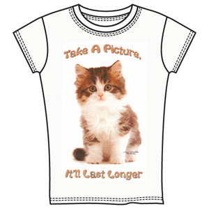 Детская (для девочек) Котенок ― Интернет магазин "Прикольные футболки"